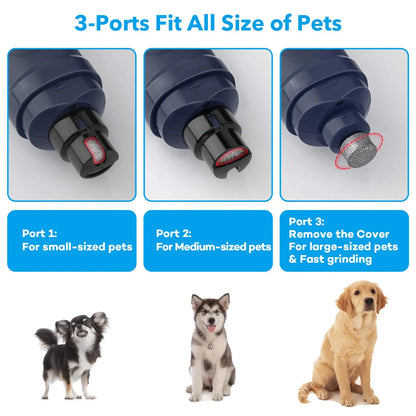 PAWSUNDAY Electric Dog Nail Grinder - Powerful 8000-10000 RPM Trimmer with Dual LED Lights for Safe and Easy Pet Grooming